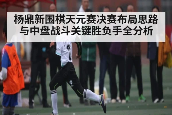 杨鼎新围棋天元赛决赛布局思路与中盘战斗关键胜负手全分析
