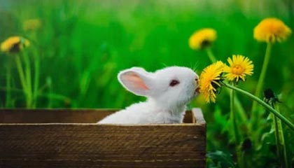 哈兰德帽子戏法 曼城大胜利物浦晋级足总杯四强